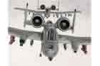 A-10 Photo