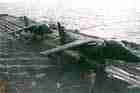 AV-8B Photo