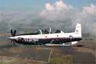 T-6 Photo