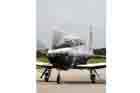 T-6 Photo