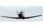 T-6 Photo