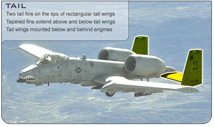 A-10 Tail