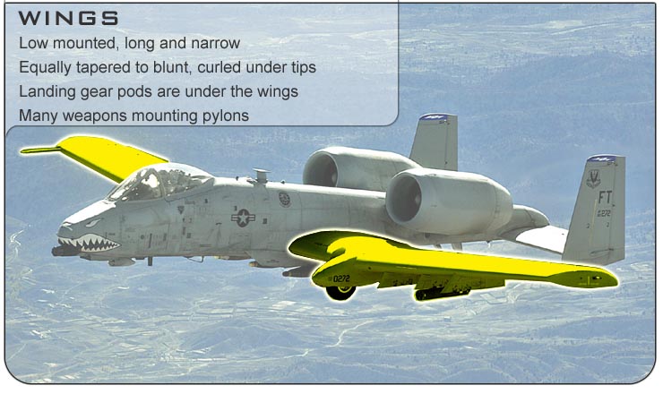 A-10 Wings