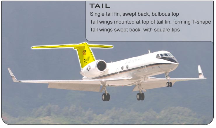 C-20 Tail