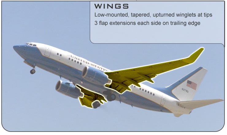 C-32 Wings