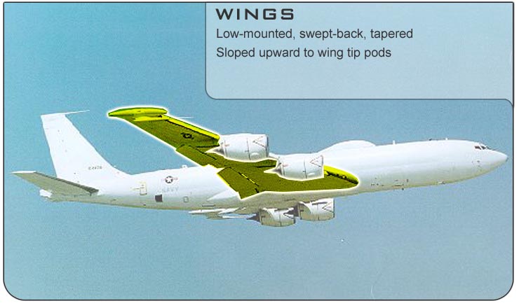 E-6 Wings