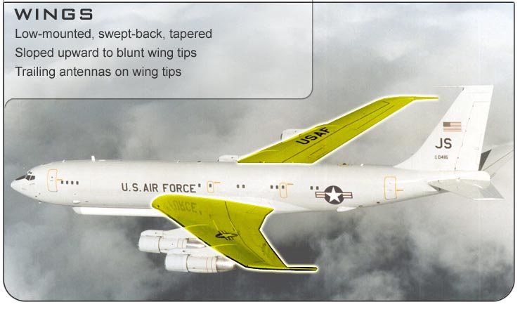 E-8 Wings
