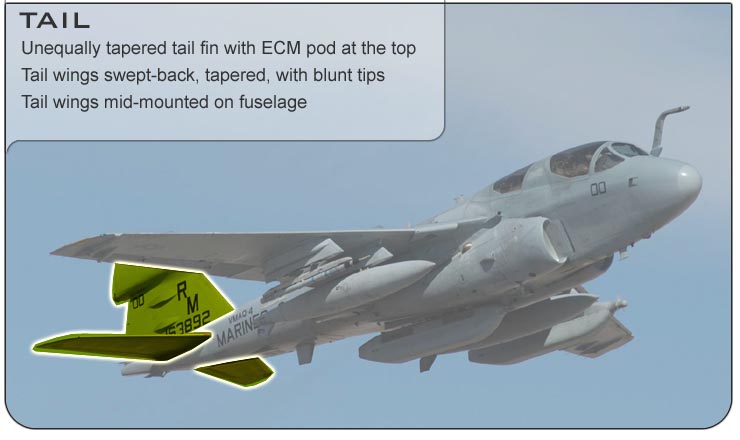 EA-6B Tail
