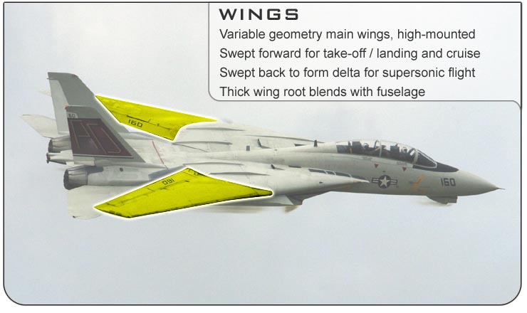 F-14 Wings