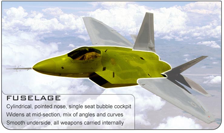 F-22 Wings