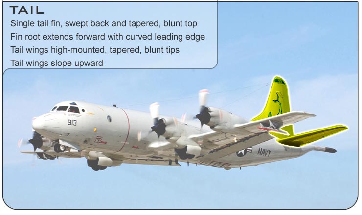 P-3 Tail
