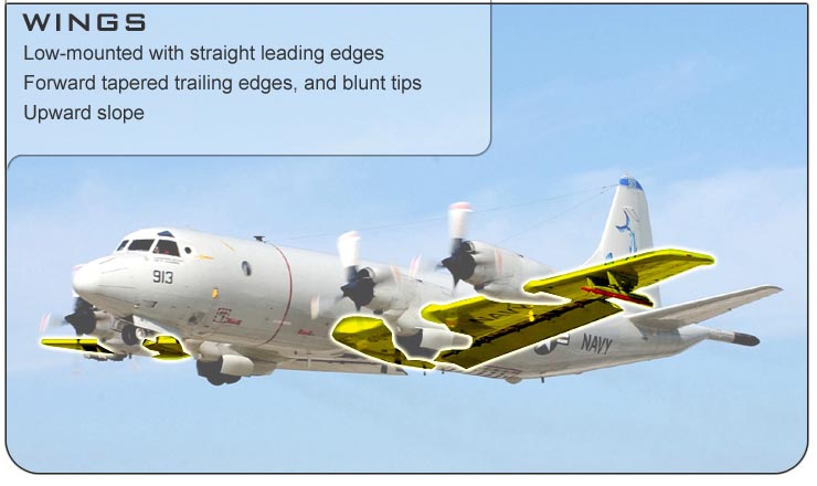 P-3 Wings