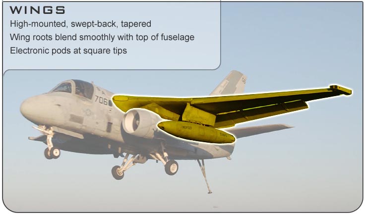 S-3 Wings