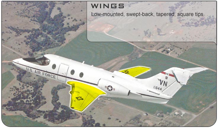 T-1 Wings
