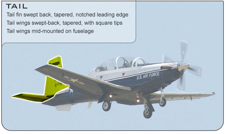 T-6 Tail