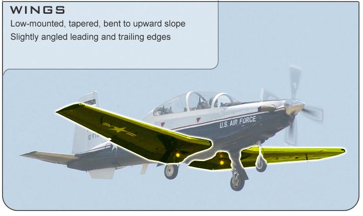 T-6 Wings
