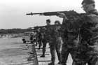 M14 Photo