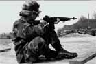 M14 Photo