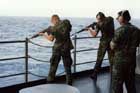M14 Photo