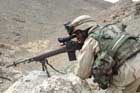 M14 Photo