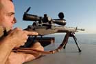 M14 Photo
