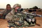 M14 Photo
