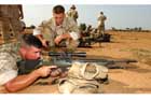 M14 Photo