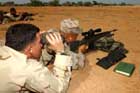 M14 Photo