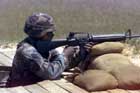 M16 Photo