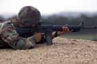 M16 Photo