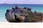 AAV Photo
