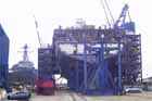 DDG Photo