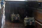 LSD 46 Photo