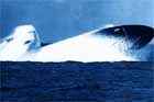 SSN 695 Photo